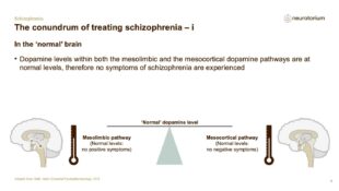 Schizophrenia – Neurobiology and Aetiology – slide 27